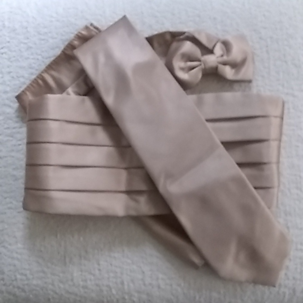 latte satin cummerbund inset